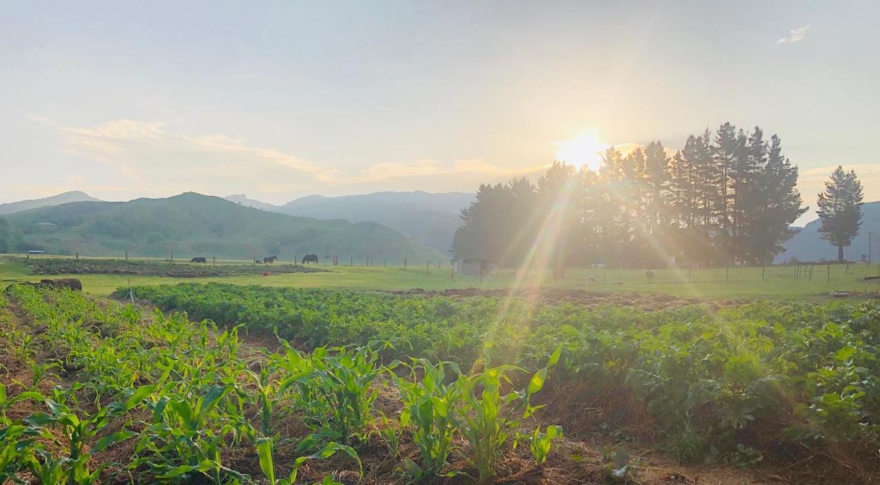 Mohaka River Farm Te Haroto Εξωτερικό φωτογραφία